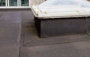disadvantages of New Delaval flat roofs