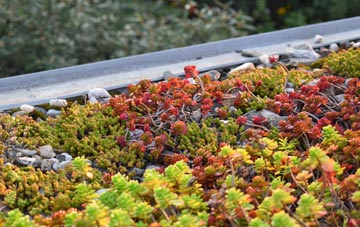 the cost of New Delaval green roof installation