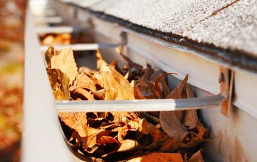New Delaval gutter cleaning companies