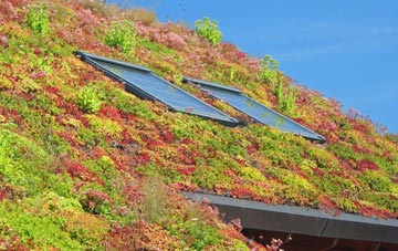 New Delaval living roof systems