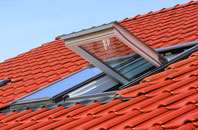 New Delaval roof window