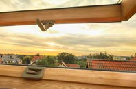 rated New Delaval roof window companies